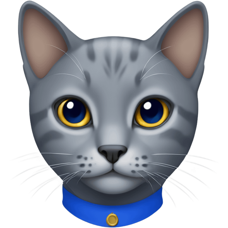 A gray cat wearing a royal blue polo emoji