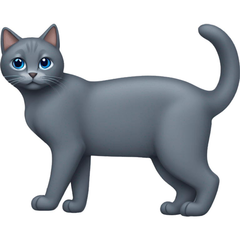 Gato  gris oscuro azul ruso sin manchas emoji