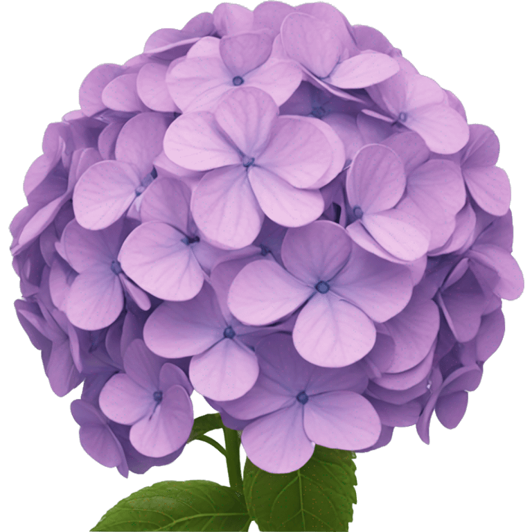 Hydrangeas emoji