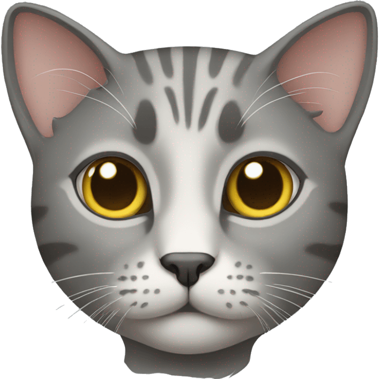 Gray cat emoji