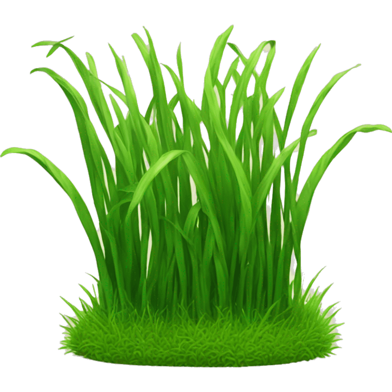 a patch of grass emoji