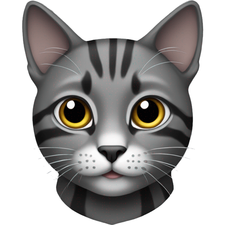 Cat grey and black  emoji