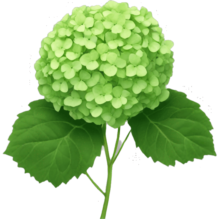 Green hydrangea emoji