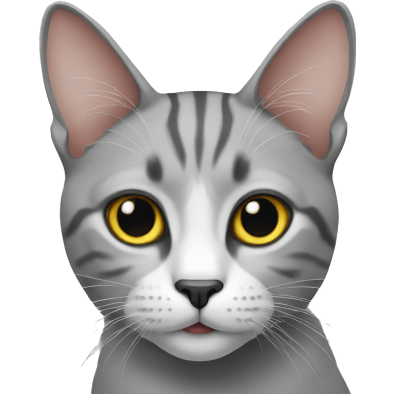 Cat Grey emoji