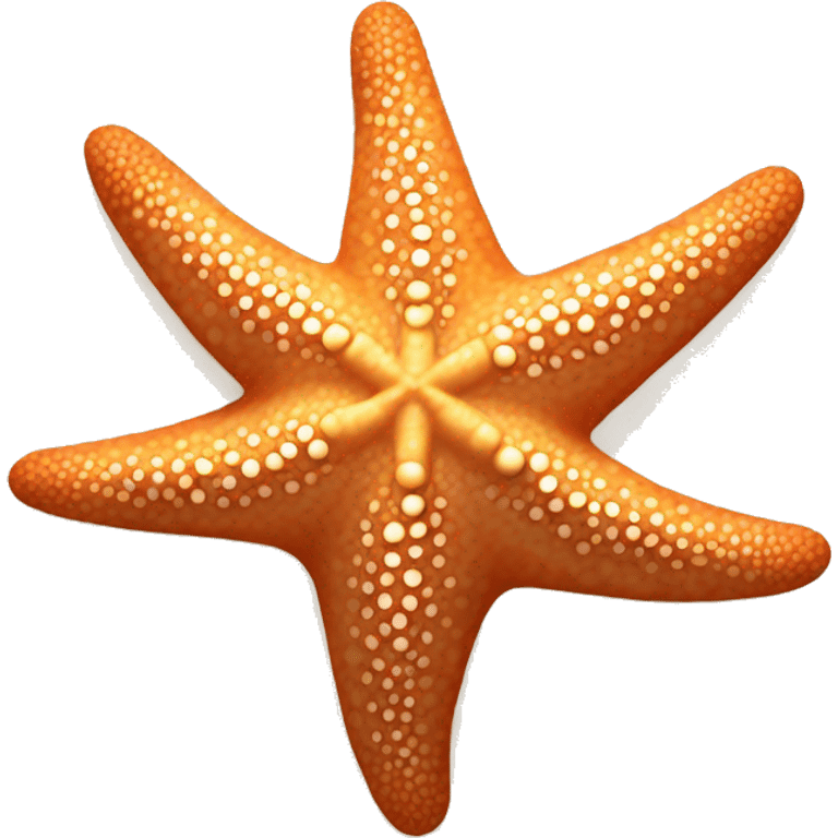 a starfish tanning emoji