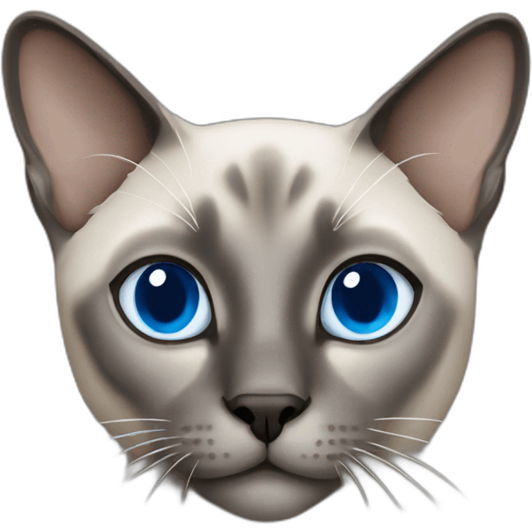 grey siamese cat with blue eyes emoji