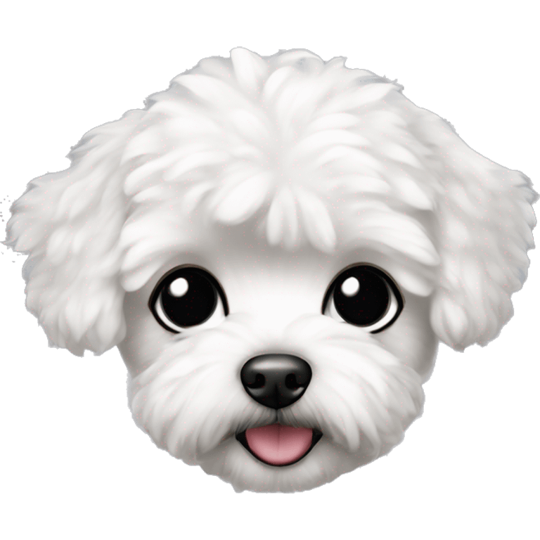 White maltipoo with black ears emoji