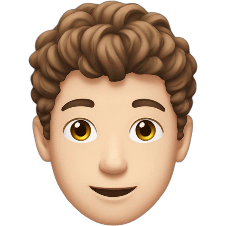 shawn Mendes emoji