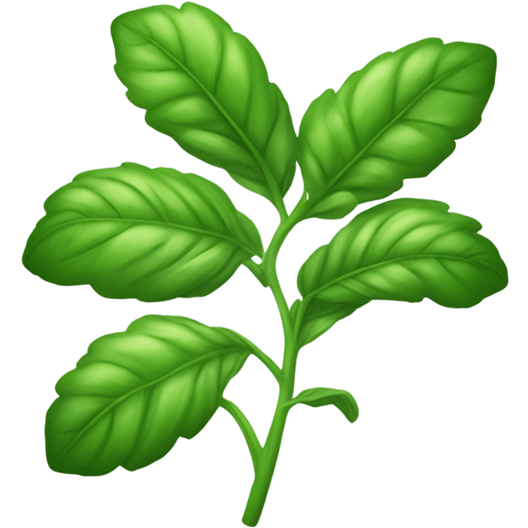 Basil emoji