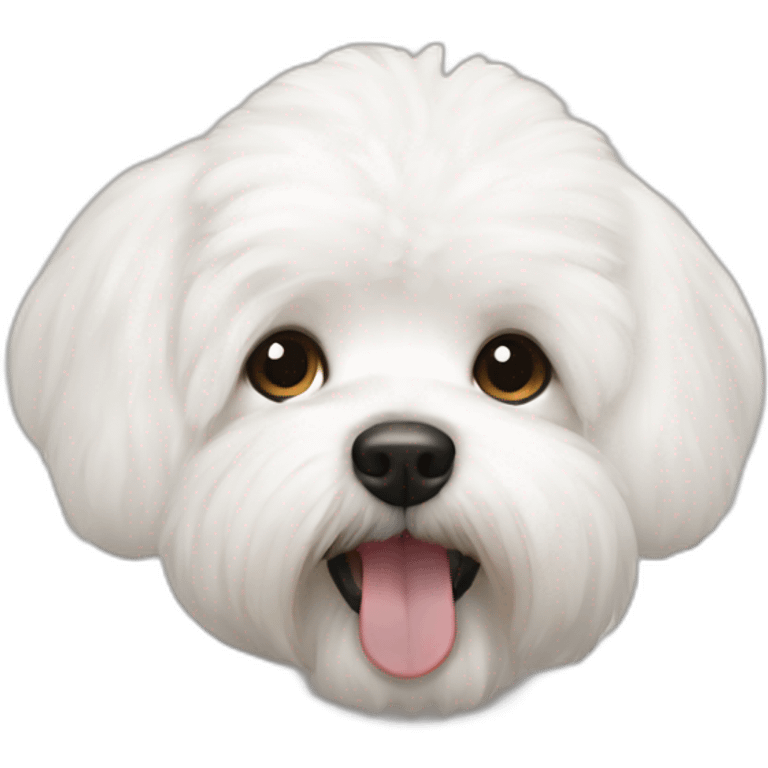 bishon frise emoji