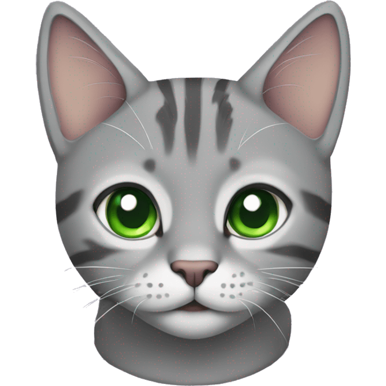 grey tabby with green eyes and a purple collar emoji