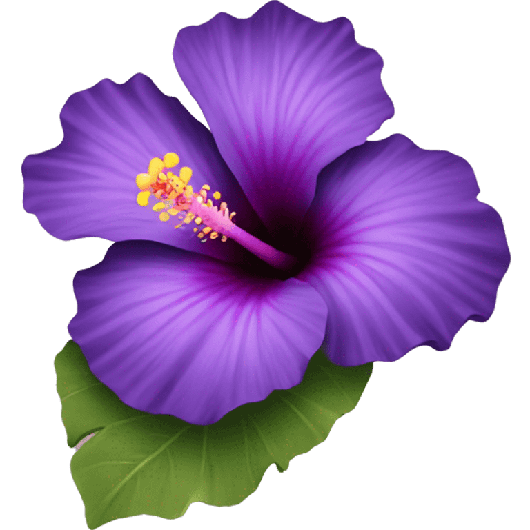 purple hibiscus flower  emoji