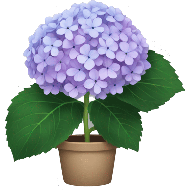 Hydrangea emoji