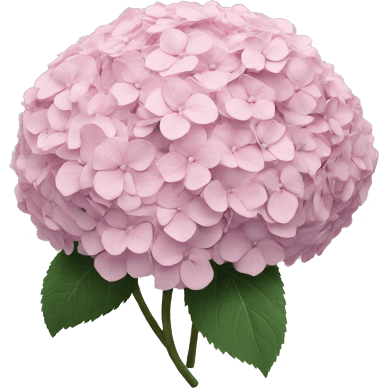 Hydrangeas pastel pink bouquet emoji