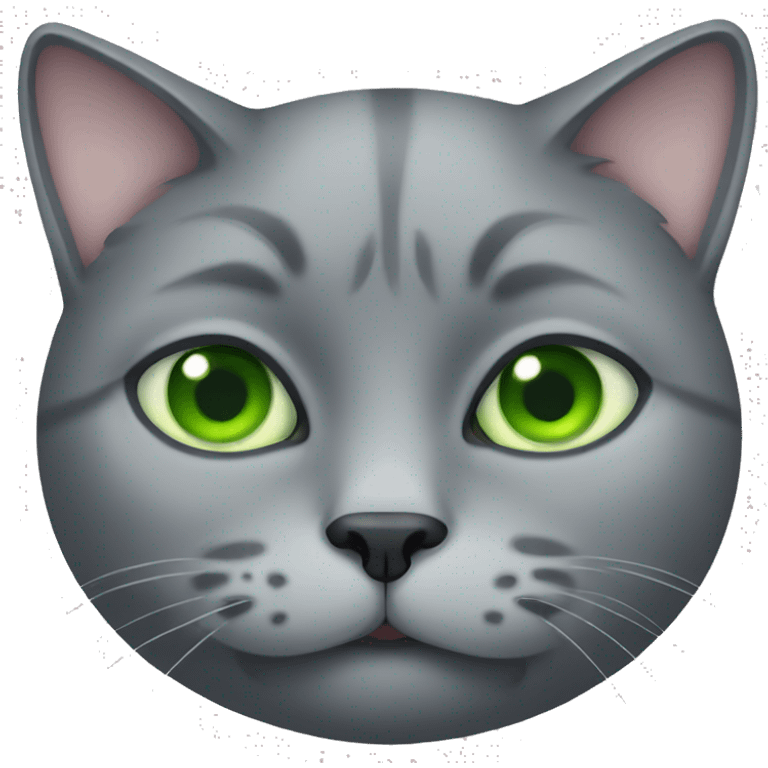 obese grey cat with green eyes  emoji