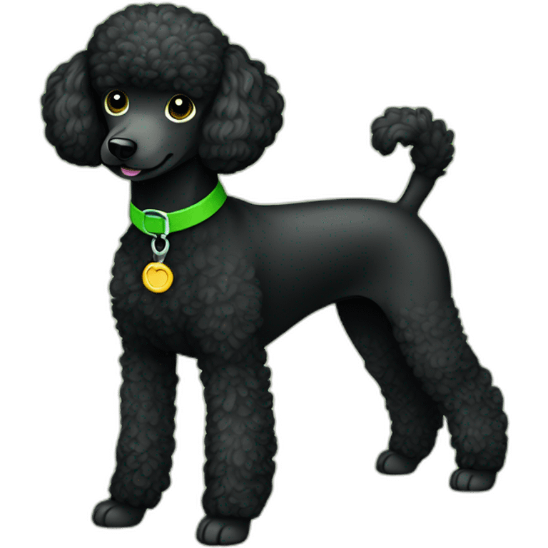 A single Energetic dark black mini poodle with short hair and green collar emoji