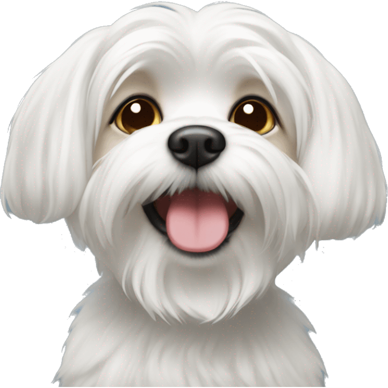 maltese with headpon emoji