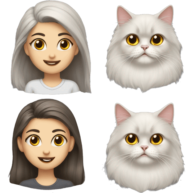 Persian cat crazy with girl emoji