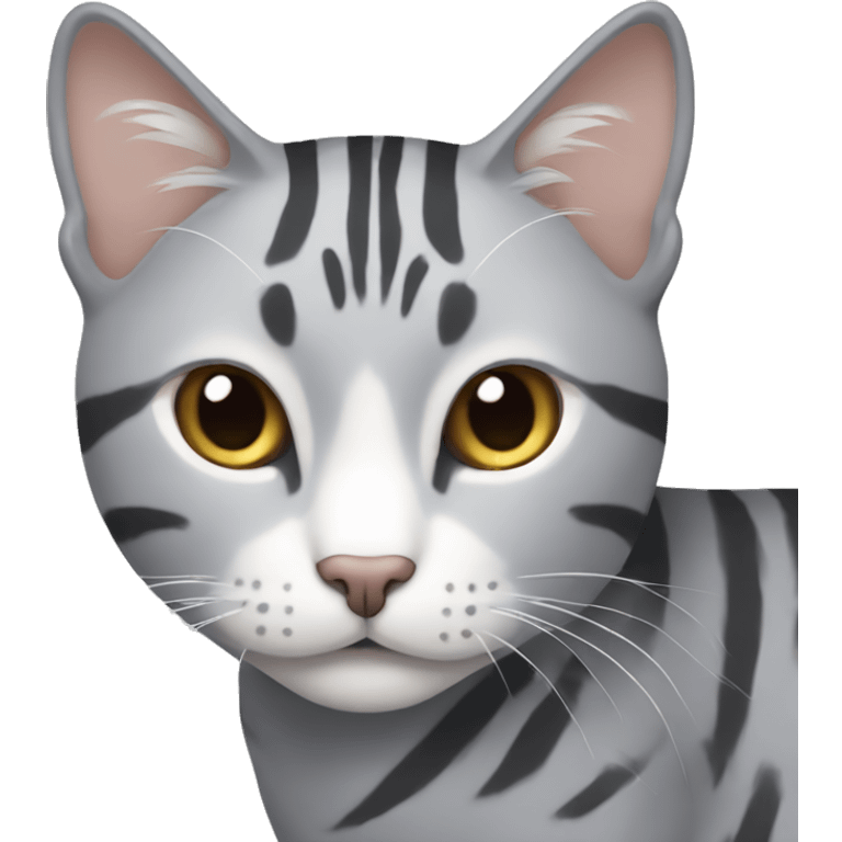 light gray cat with gray stripes like a tiger emoji