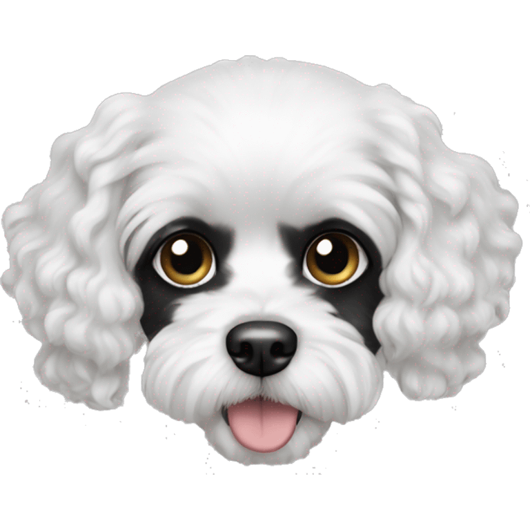 Dog white cavapoo with two black ears and black fur around one eye emoji