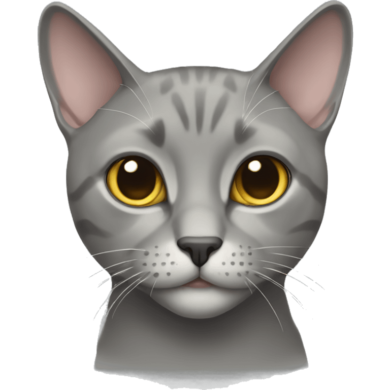 Grey male brittish short hair cat emoji