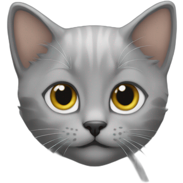 A grey kitten with a "Navid" text on top emoji