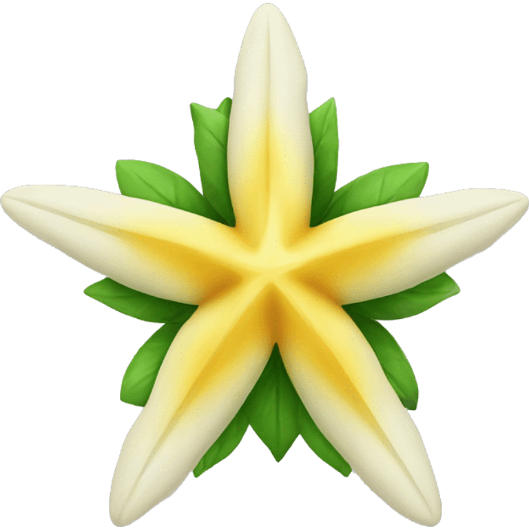 christmas star flower emoji