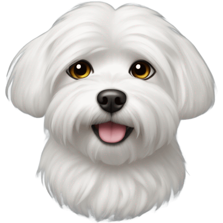 A white Maltese chocolate emoji