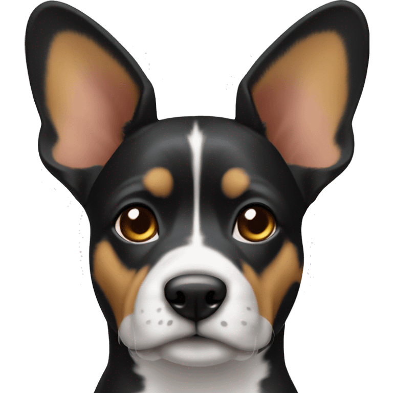 black tri color american bollie with cropped ears emoji