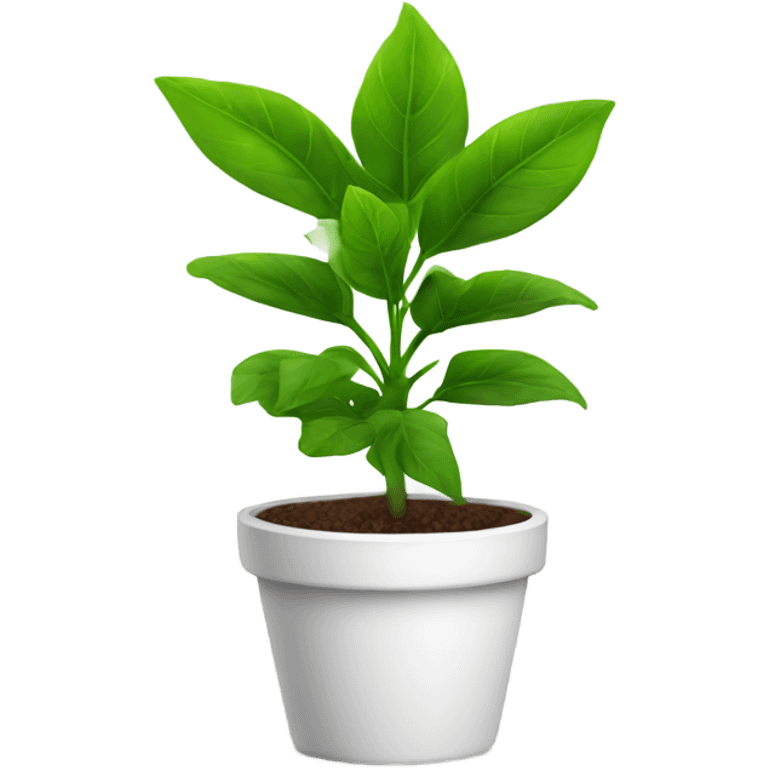 Green plant with a white pot emoji