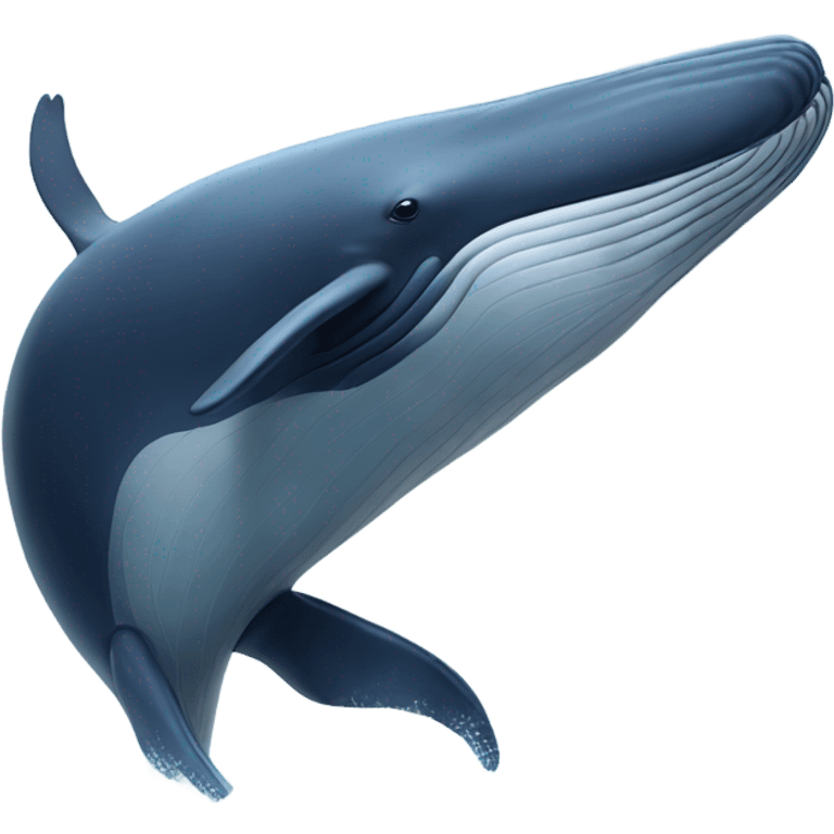 whale emoji