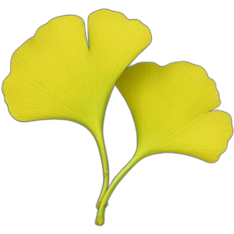 Ginkgo biloba  emoji