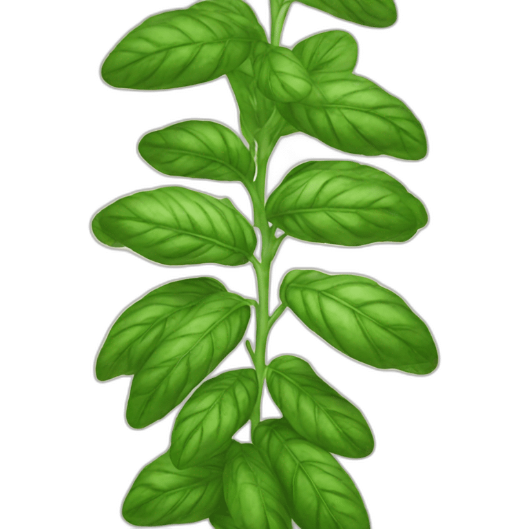 basil leafs emoji