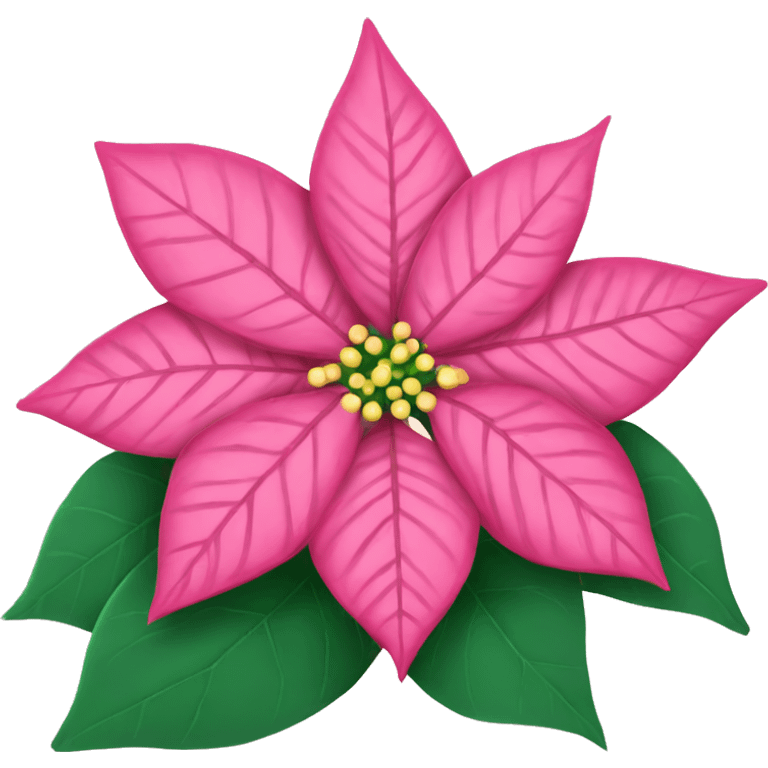 Pink Christmas poinsettia  emoji