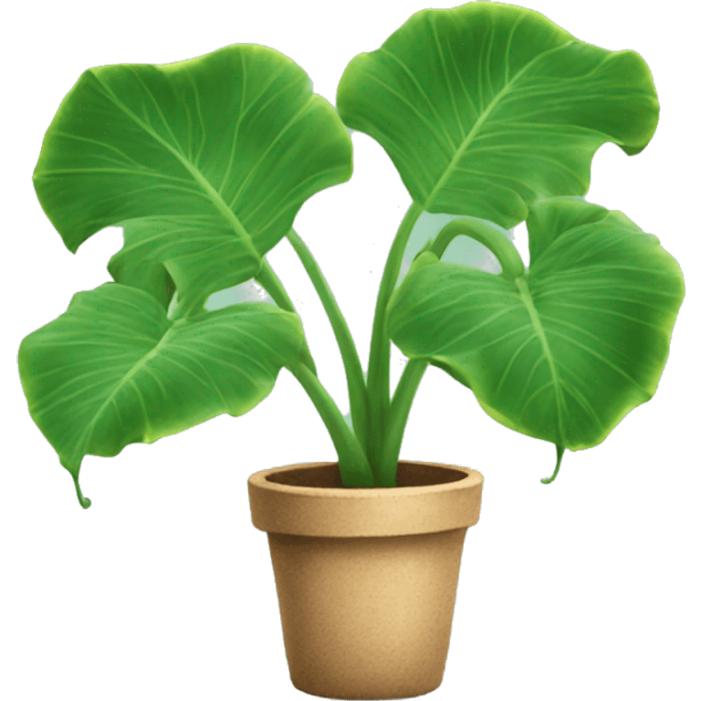 elephant ear plant in the bahamas emoji