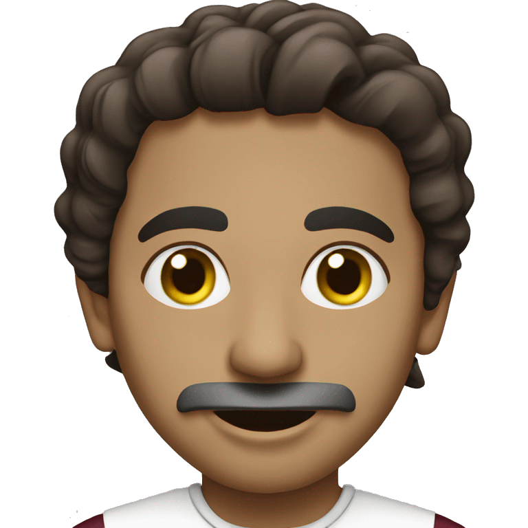 qatar emoji