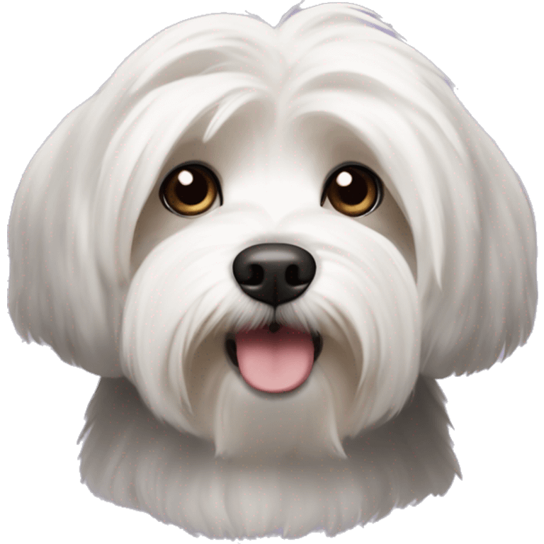 havanese dog with white eyebrows, black head, and a white snout emoji