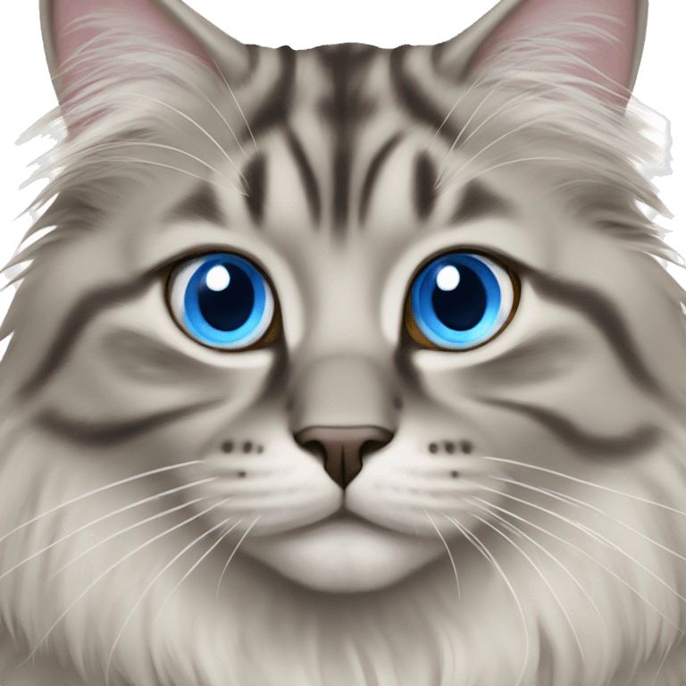 siberian cat blue eyes looking happy emoji