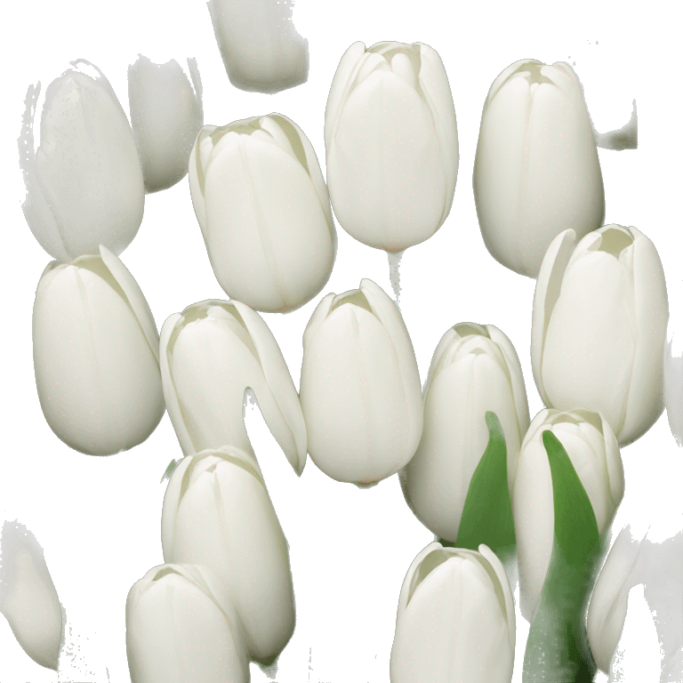 White tulips emoji