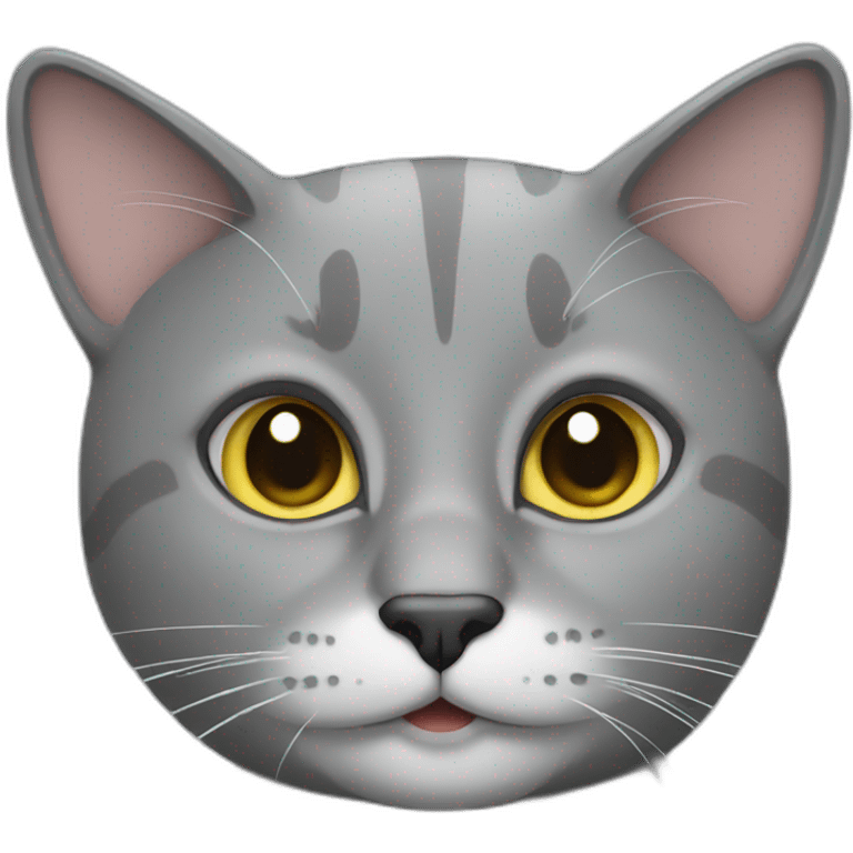 grey cat emoji