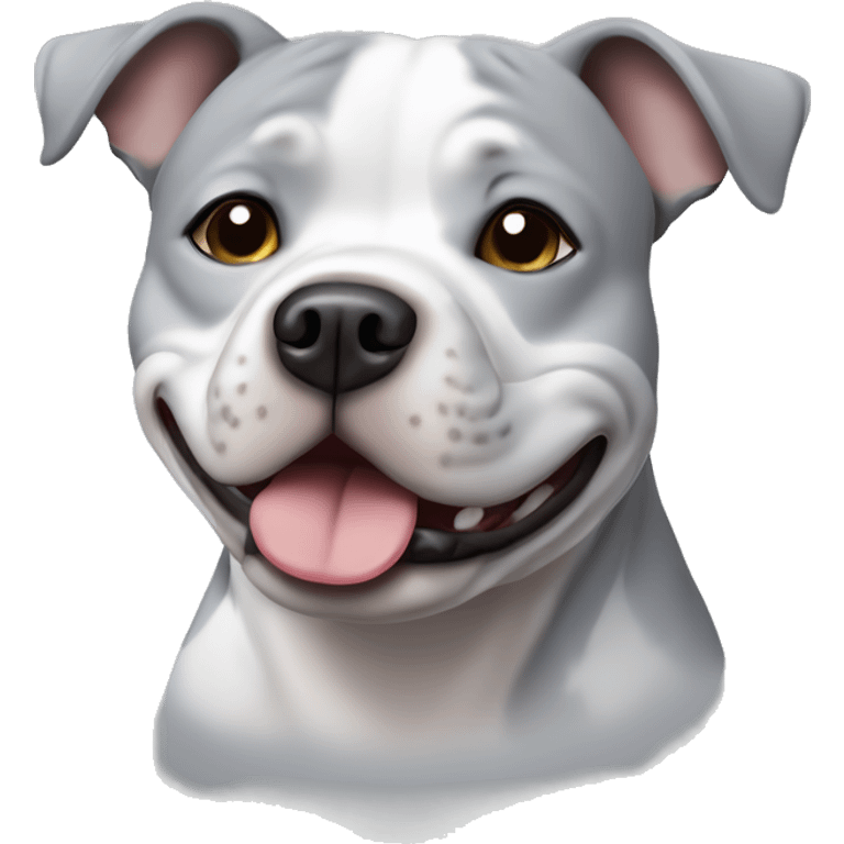 Standing Small grey Staffordshire bull terrier with a white j on his chest emoji