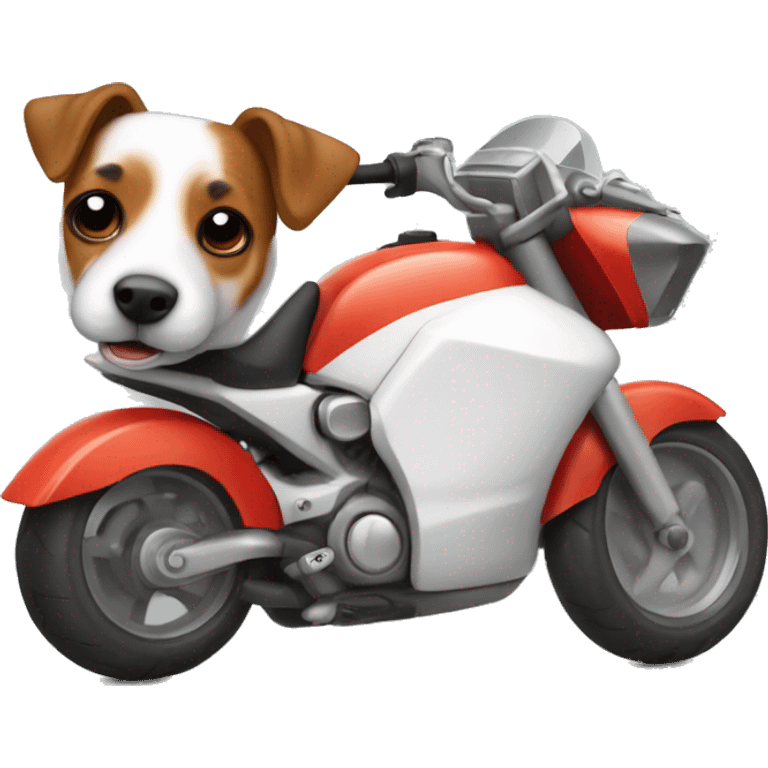 Jack russell encimade una moto con un casco puesto emoji