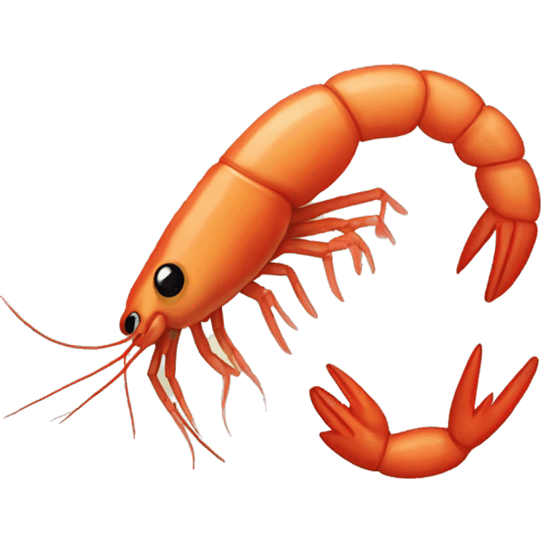 shrimp emoji