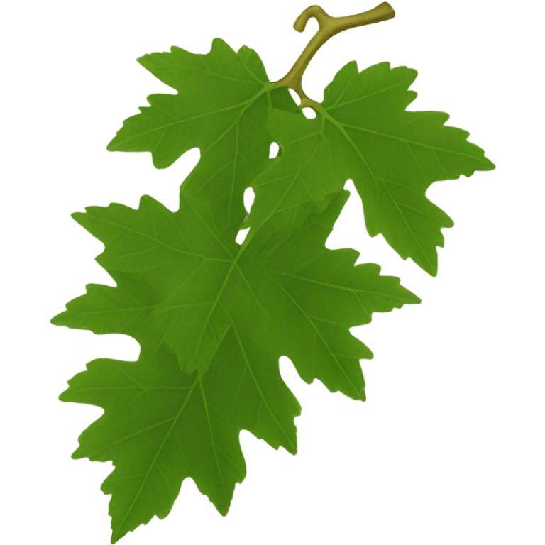 Grape leaves emoji