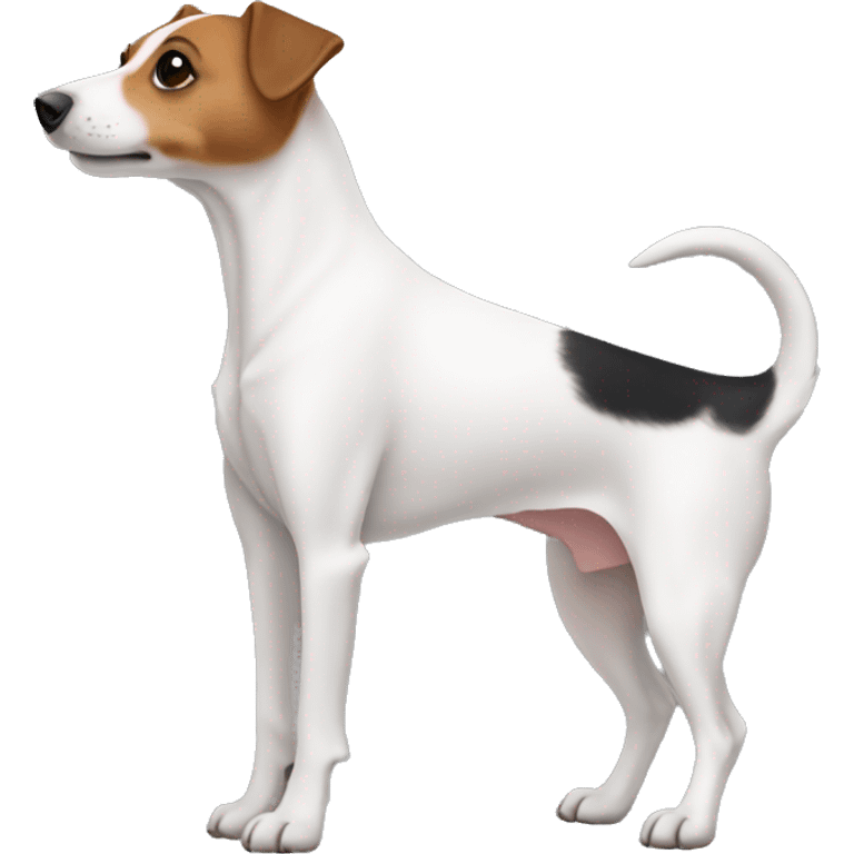 Jackrussell body side emoji