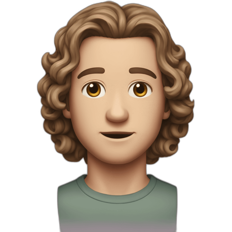 Eddie Munson Joseph Quinn with curled long hair stranger things emoji