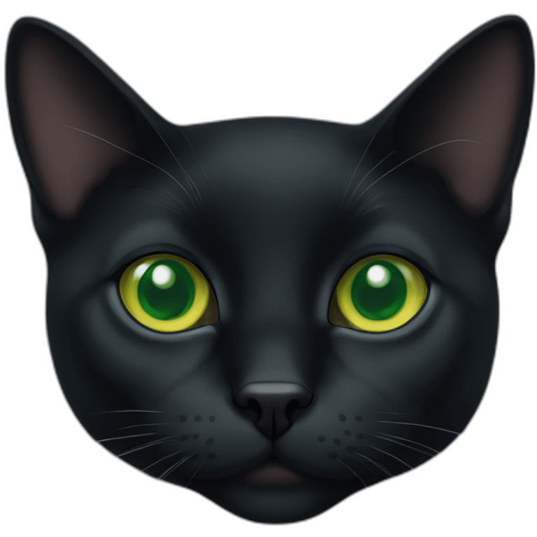 bombay cat green eyes emoji