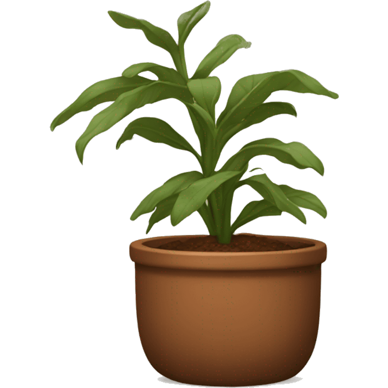 brown pot  emoji