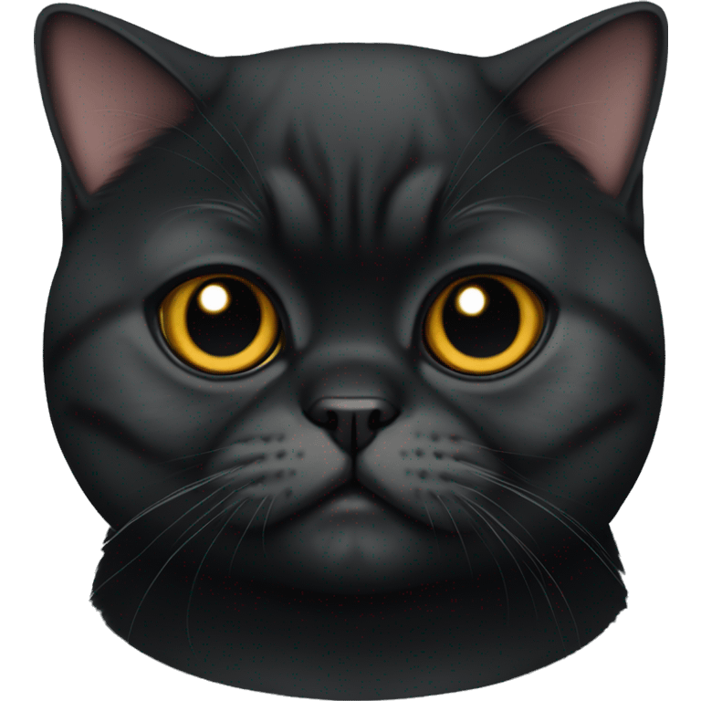 Full Black exotic shorthair cat emoji