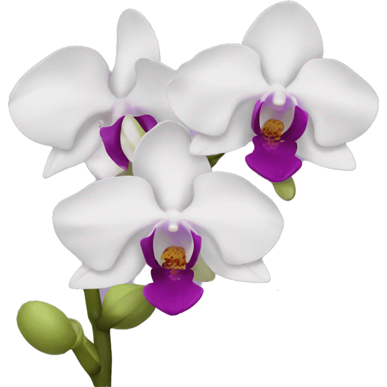 Orchid emoji